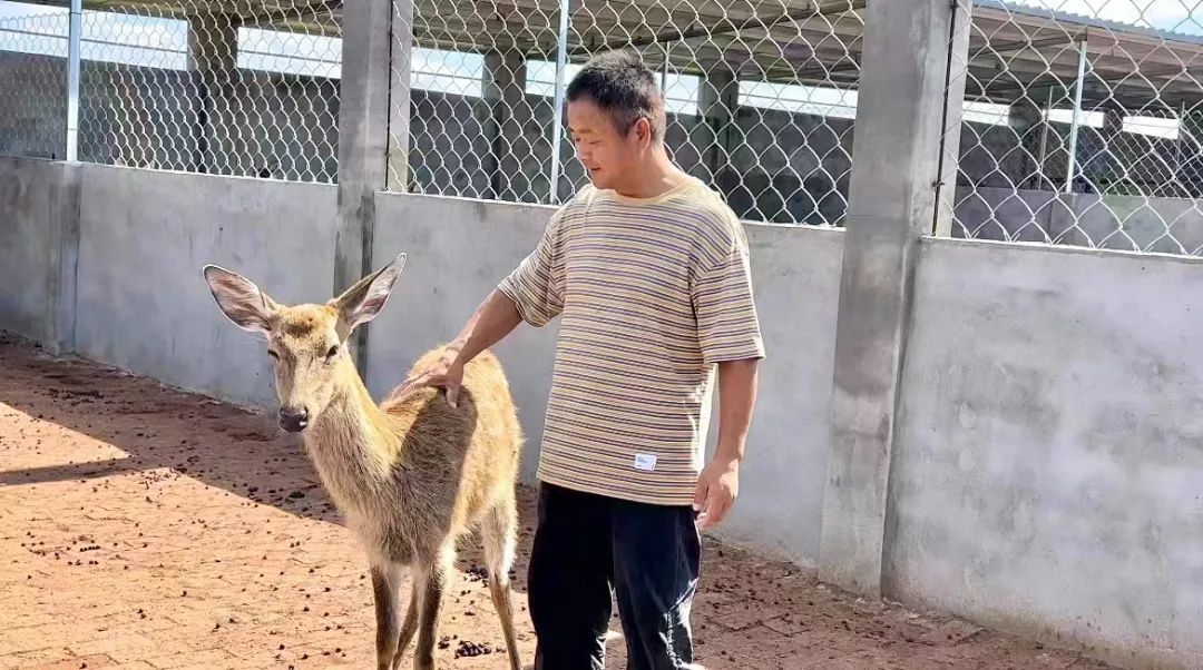 百家家乐下三路怎么看